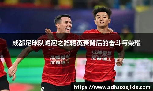 成都足球队崛起之路精英赛背后的奋斗与荣耀